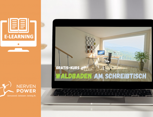 Online-Schnupperkurs: Waldbaden am Schreibtisch